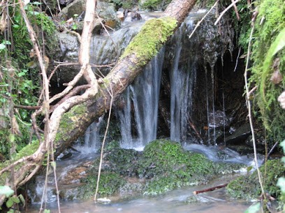Gîtes au bord du Sichon près de Vichy, Gîte au Vernet