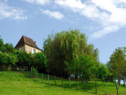 Gîte De La Roche (Montignac Lascaux, Dordogne, Perigord), Gîte à Thenon