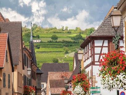 Gîte De La Muse Gîte à Rouffach