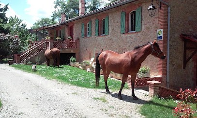 Chez Ginou, Gîte à Lavaur
