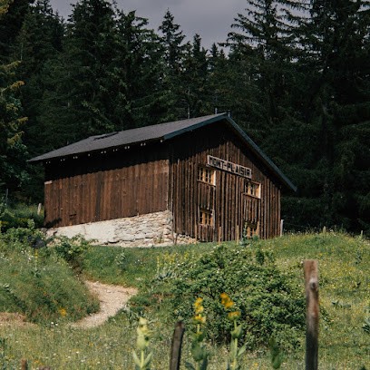 Mont Plaisir, Chalet D'alpage - 10 People À Samoëns Grand Massif, Gîte à Samoëns