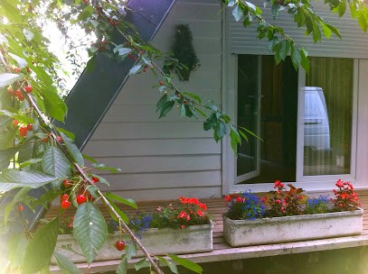 Gîte Chalet l'Igloo, Gîte à La Bourboule