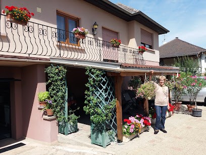 Gîte De L'Aubach, Gîte à Ebersheim