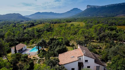 Le coeur du Pic, Gîte à Valflaunès