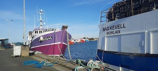 2 Gîtes Individuels Ti Saoson Et Ti Touarn, Gîte à Saint-Pol-de-Léon