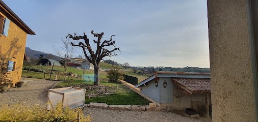 Gîte Stone & Spa, Gîte à Chasselay