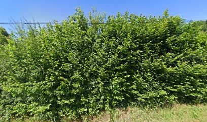 Gîte de Keroëc à proximité de Quimper, Bénodet, Pont l'Abbé, Gîte à Tréméoc