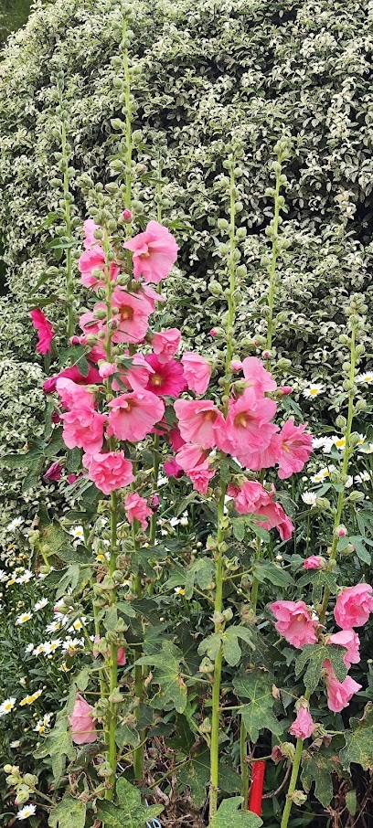 Gites De Bel-Air, Gîte à Saint-Pol-de-Léon