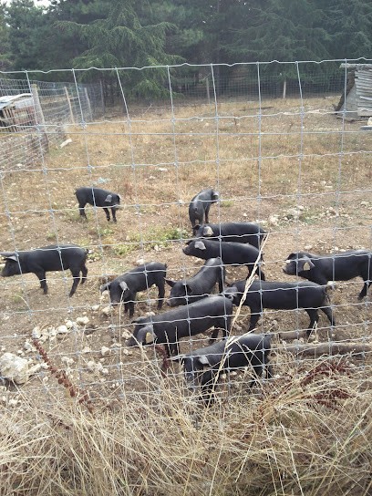La Vernelle, Gîte à Monsaguel