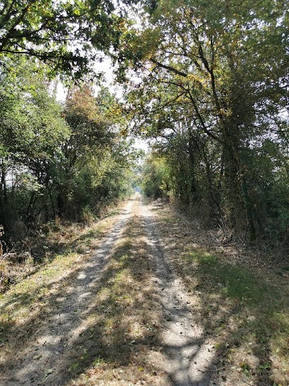 LES LODGES DE LA BERGERIE, Gîte à Donnery