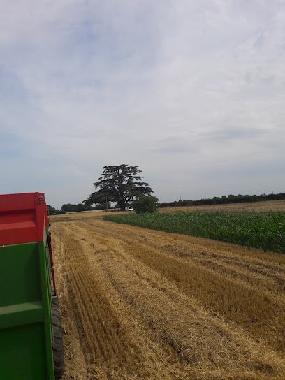 Le Pouilloux, Gîte à Marçay