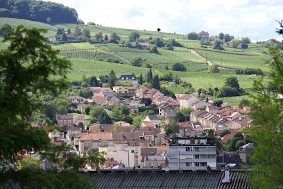 Gîte La Villa Geiss, Gîte à Épernay