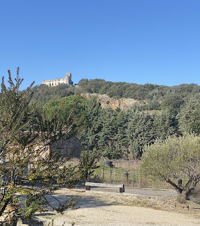 La Salamandre hébergement saisonnier, Gîte à Tornac