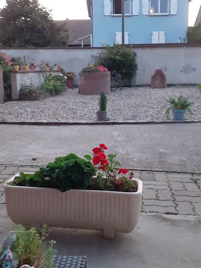 Gîte Muller, Gîte à Porte du Ried