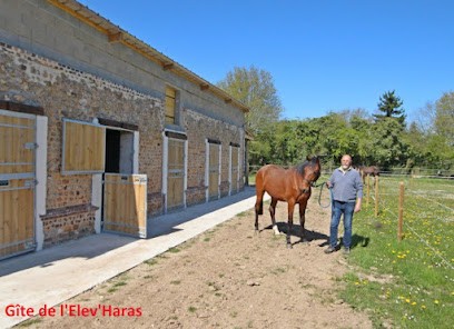 Gîte rural de L’Elev’Haras 3 épis, Gîte au Fidelaire