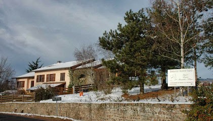 Domaine Chante Vigne - Carole Tanasescu, Gîte à Régnié-Durette