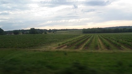 Le Mas Saint-Jean - Chambres d'hôtes, Gîte à Braud-et-Saint-Louis