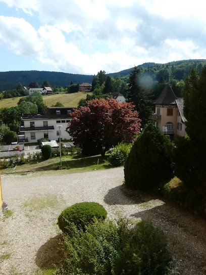 Gîte Villa Mon Soleil Alsace, Gîte au Hohwald