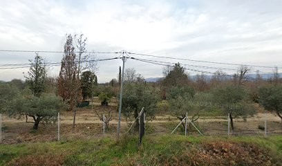 Les Amandiers - Gîtes de France, Gîte à Mallemort