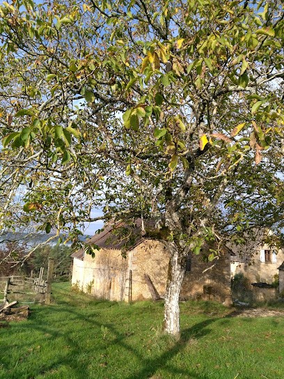 Les gîtes de Maillol, Gîte à Thonac