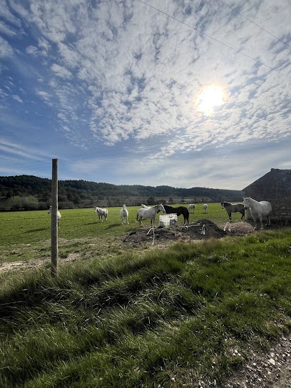 O-Luber'Home, Gîte à La Roque-d'Anthéron