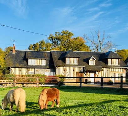 Gîte rural Le grenier gris, Gîte à Douville-en-Auge