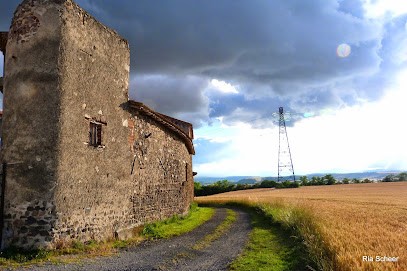 Les Gîtes de la Vigne, Gîte à Orbeil