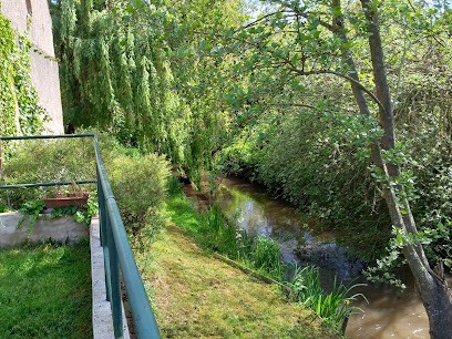 Moulin en bord de riviere, Gîte à Chevillon-sur-Huillard