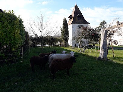 Gite Laborde, Gîte à Montaigu-de-Quercy