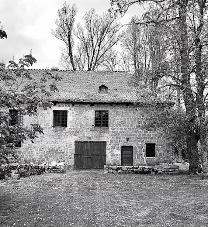 Gite du chateau de la Baume, Gîte à Antrenas