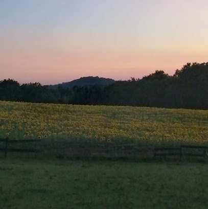 gîte Lou Cazalet, Gîte à Orthez
