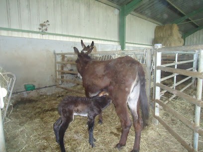 Ferme Haoure, Gîte à Lanne-en-Barétous