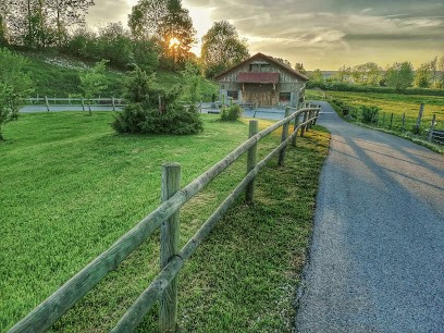 Gîte de l'absinthe, Gîte à Granges-Narboz