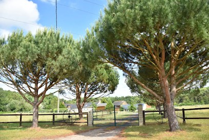 Gîte de La Nouillière, Gîte à Saint-Nicolas-de-Bourgueil