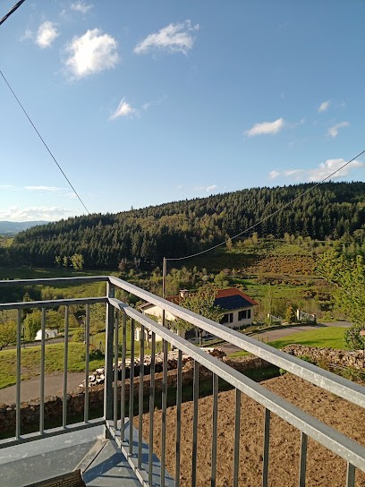 Loft'O vert, Gîte à Doizieux