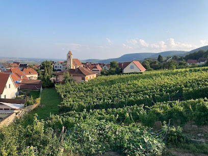 Gites Altermatt Marie-Ange et Clément, Gîte à Voegtlinshoffen