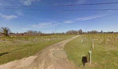 Gîte Lahitan, Gîte à Castelnau d'Auzan Labarrère
