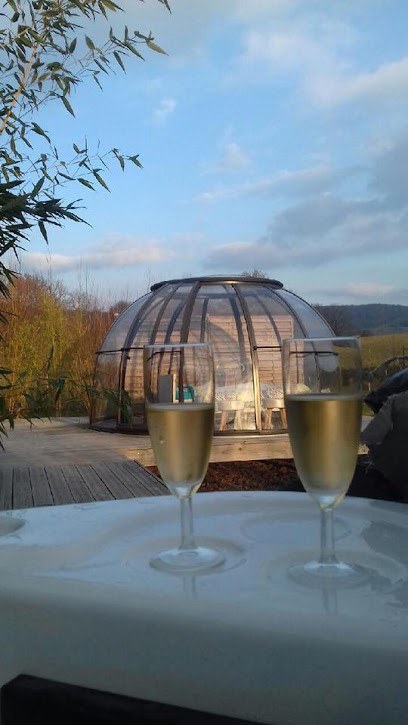 Les Nuits Insolites De La Mothe, Gîte à Outremécourt