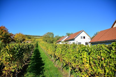 Gîte des Grands Crus d'Alsace www.gitedesgrandscrus.com, Gîte à Rouffach
