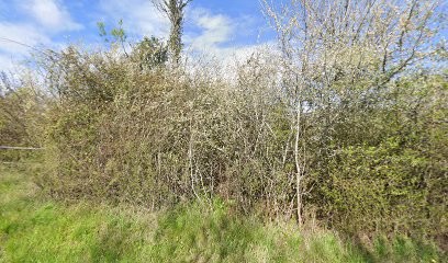 Gite La Fleurieu, Gîte à Puy-l'Évêque