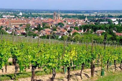 Gîte de la Liberté, Gîte à Rouffach