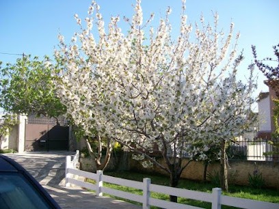 Gîte Les Figuiers: Gîte à Marseille, Au Calme Avec Jardin, Proche Plage Et Vieux-Port De Marseille, Bouches-du-Rhône, Gîte à Marseille 10