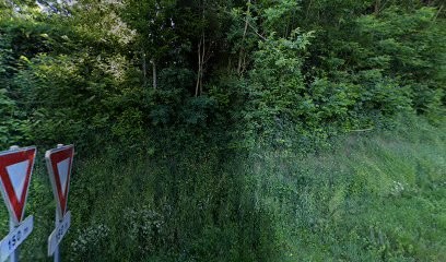 Maison Pingrieux, Correze Vacances, Gîte à Saint-Ybard
