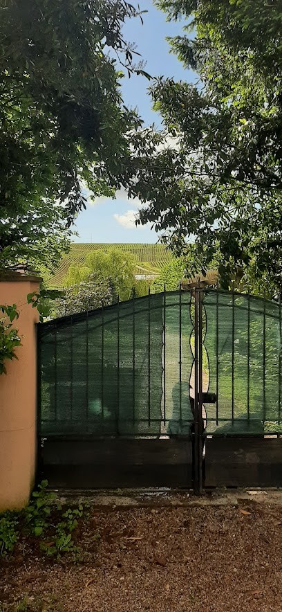 Gîte Les Papillons, Gîte à Sury-en-Vaux