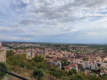 Gîte Sainte Odile à Obernai, Gîte à Obernai