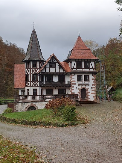 Le Saint Moulin De La Petite Pierre, Gîte à Lohr