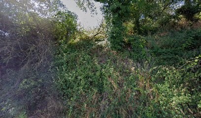 Cavalie Bruno, Gîte à Castres