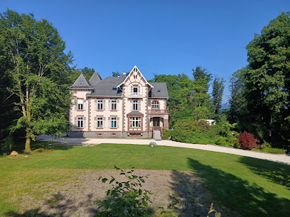 La Demoiselle Des Roches, Gîte à Ramonchamp