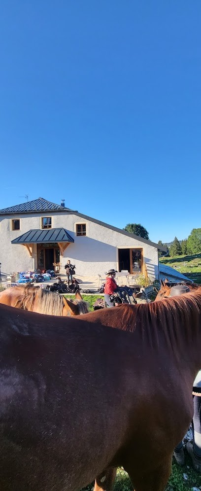 Pré Coquet Gites à la ferme - Les Molunes Haut-Jura, Gîte à Septmoncel les Molunes
