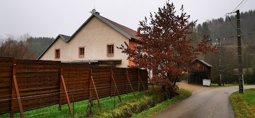 GÎTE DE LA PARRIERE, Gîte au Saulcy